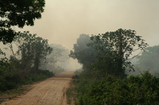 Wild fire in the Pantanal